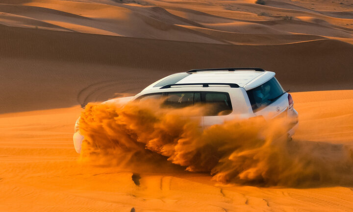 Dubai Morning Safari