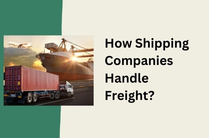 How Shipping Companies Handle Freight