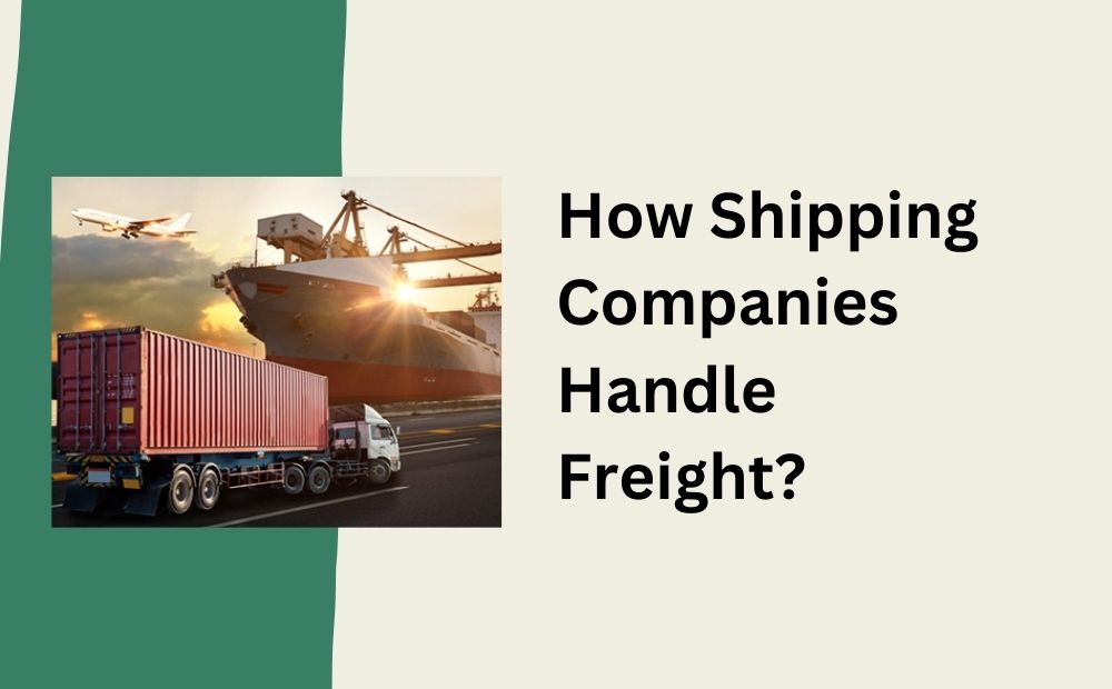 How Shipping Companies Handle Freight