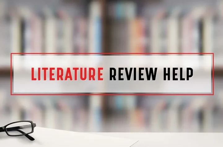 literature review help services