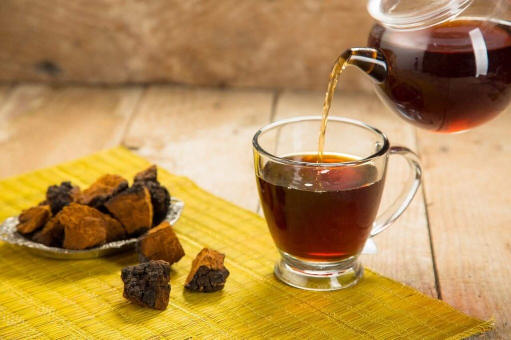 buy chaga chai