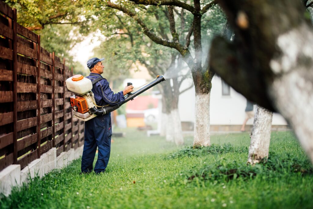 Pest Control in Lahore and Pest services