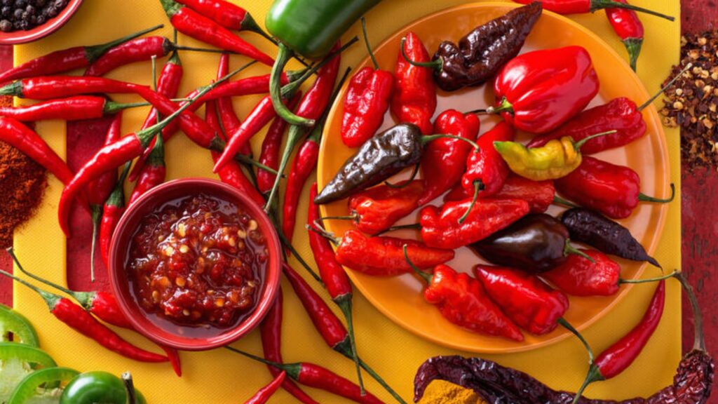 A bowl of curry masala paste and lots of chillies to be used in Indian cooking