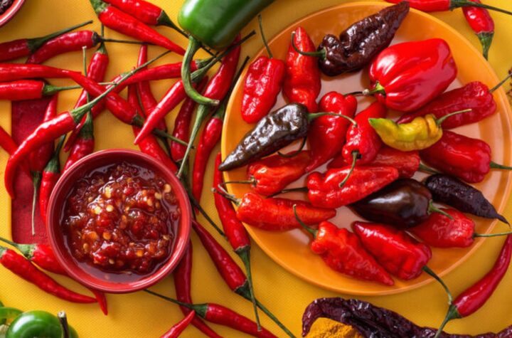 A bowl of curry masala paste and lots of chillies to be used in Indian cooking