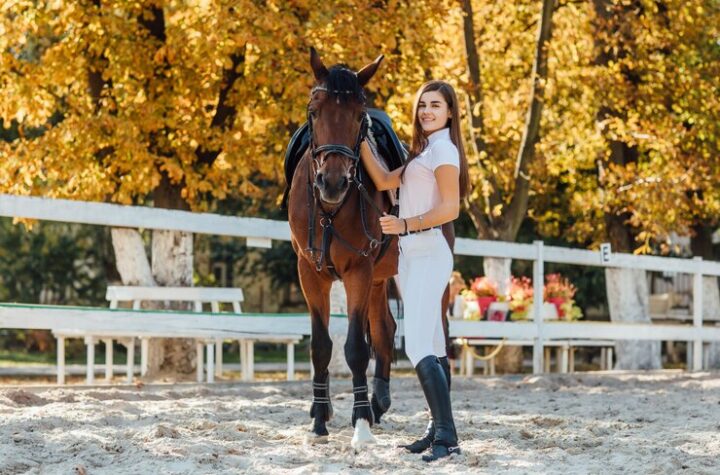 Horse Training