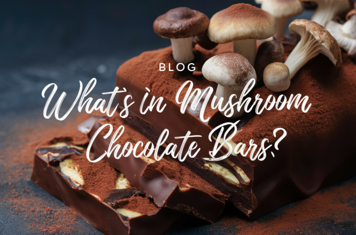 What’s in Mushroom Chocolate Bars?