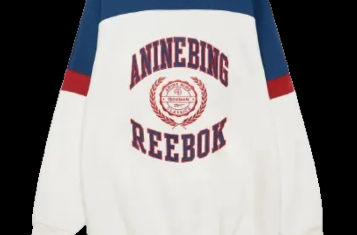 ANINE-BING-REEBOK-X-OVERSIZED-CREW