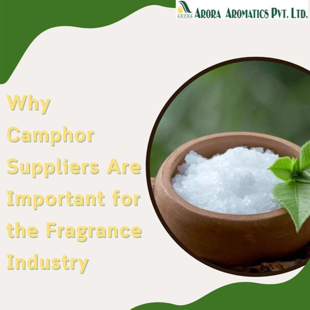 Camphor Suppliers