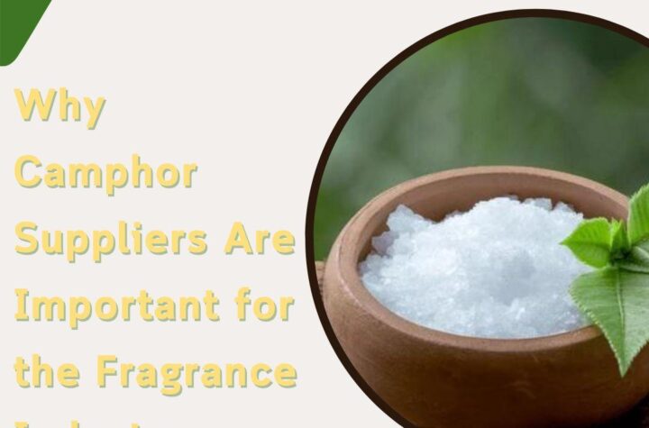 Camphor Suppliers