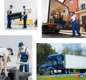 professional movers fremont ca