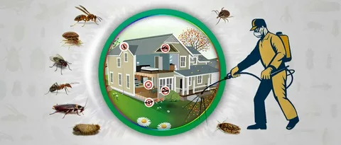 Effective Pest Control in Lahore: The Guide